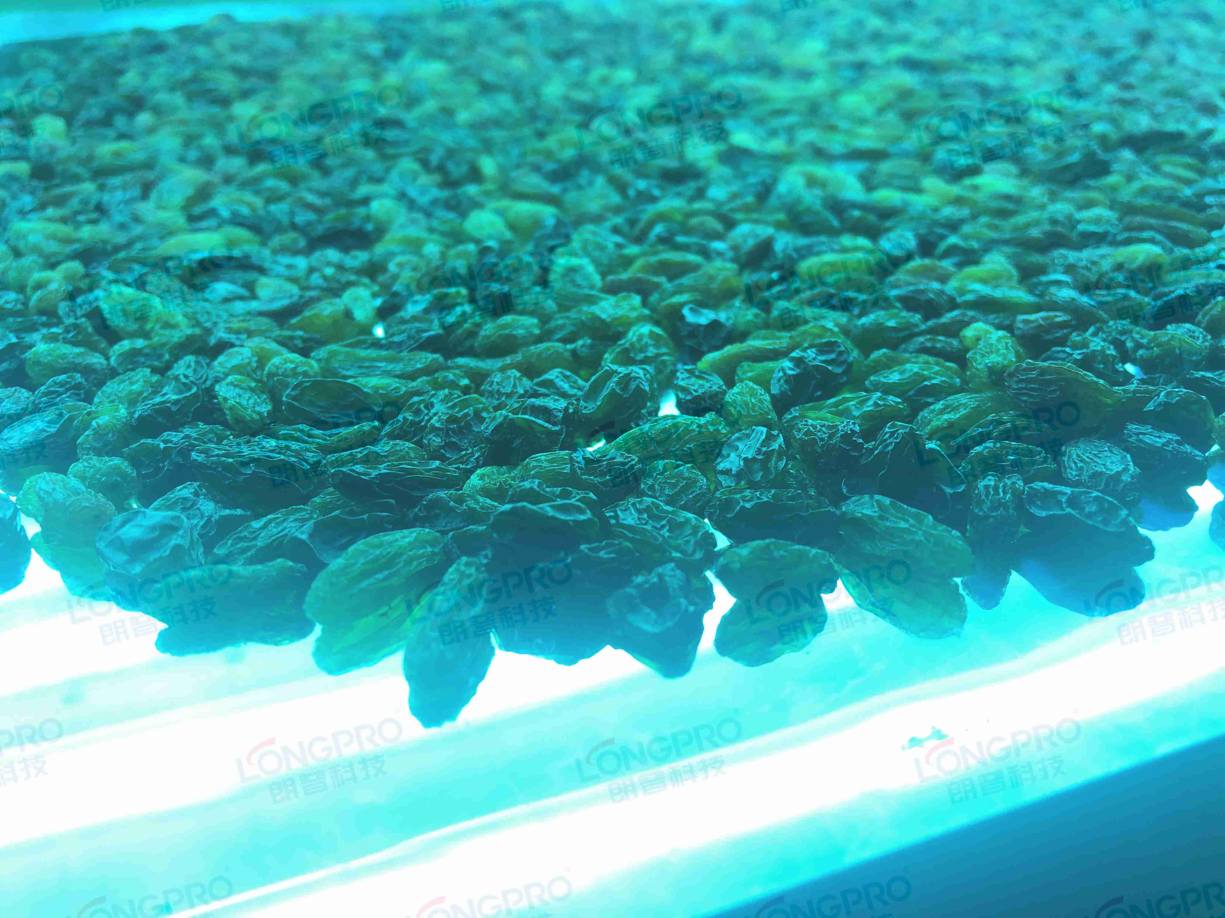 食品細(xì)菌超標(biāo)怎么解決？utf-8