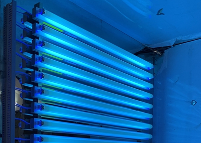 如何通過UV紫外光照實(shí)驗(yàn)箱構(gòu)建動(dòng)物皮膚光老化模型？