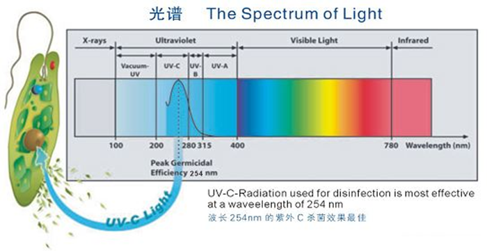 科普！紫外線殺菌燈對人體影響及正確使用方法